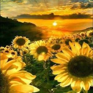 Meet your Posher, Audree